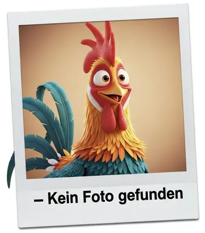 Katzen-Nanny gesucht für Urlaubsvertretung!