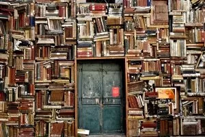 Lektorat wissenschaftlicher und belletristisc